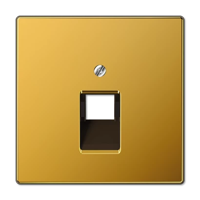  артикул LS969-1UAGGO-EPUAE8UPOK5 название Розетка компьютерная 1-ая кат.5е, RJ-45 (интернет), цвет Золото (металл), LS990, Jung