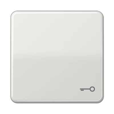  артикул CD590TLG название JUNG CD 500/CD plus Светло-серый Клавиша 1-я с символом 